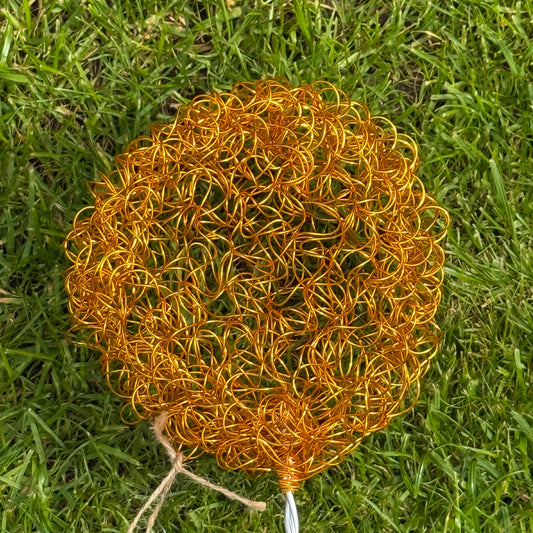 Drahtblüte Allium orange