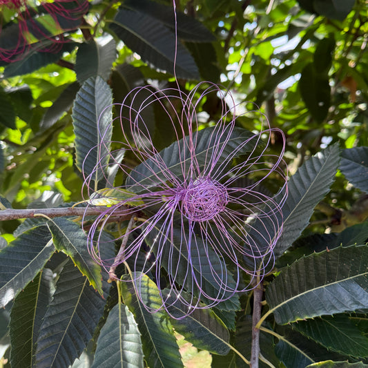 Drahtblüte zum hängen flieder