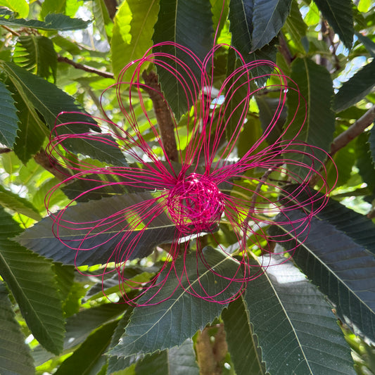 Drahtblüte zum hängen pink