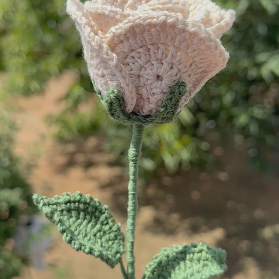 Handgehäkelte beige Rose mit grünen Blättern, handgefertigtes botanisches Unikat von Edeltrud, langlebige Dekoration aus Baumwolle.