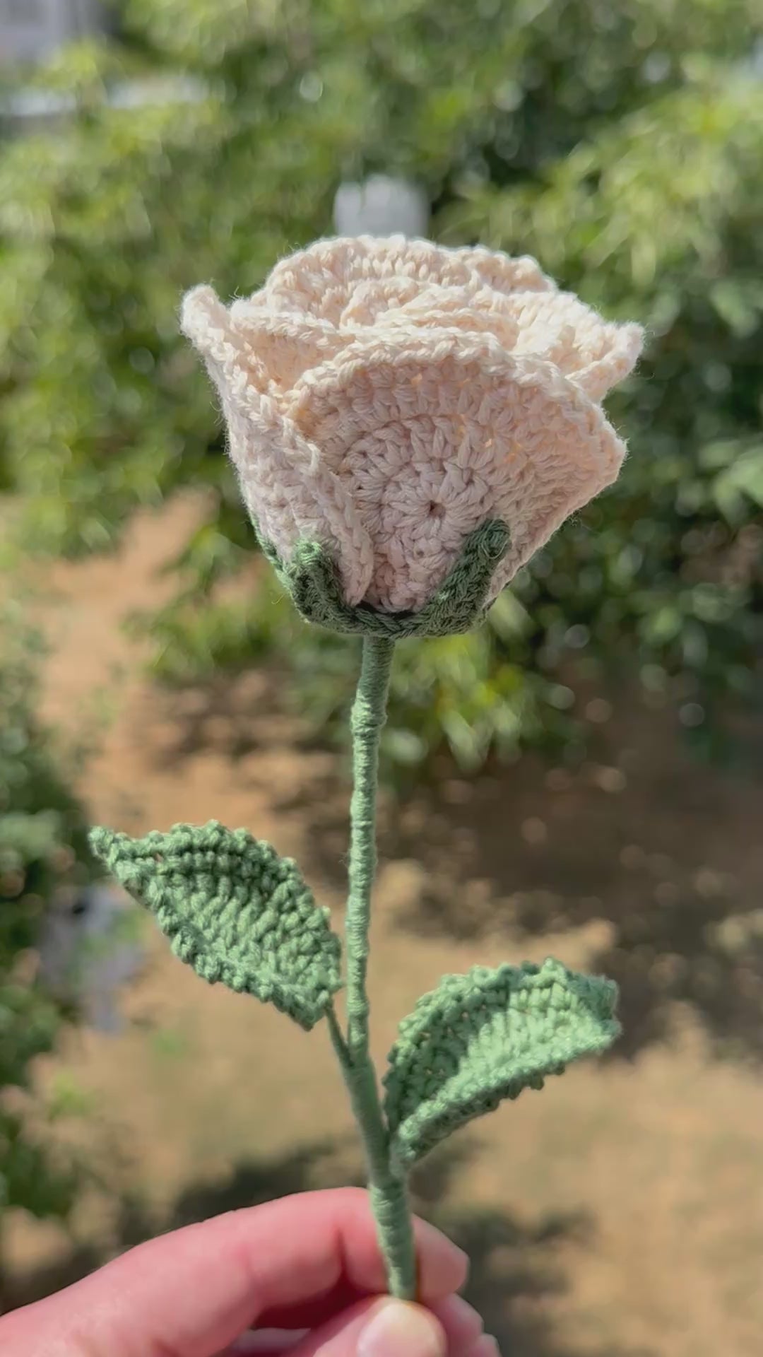 Handgehäkelte beige Rose mit grünen Blättern, handgefertigtes botanisches Unikat von Edeltrud, langlebige Dekoration aus Baumwolle.