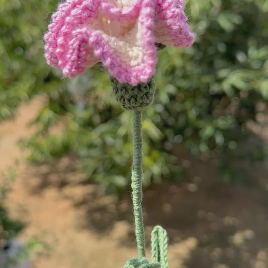 Handgehäkelte Nelke in zartem Rosa und Weiß mit mehrschichtigen Blütenblättern, grünem Stiel und mehreren Blättern, handgemachte Häkelblume aus Dein Krämerladen.