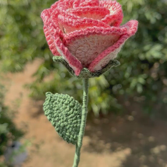 Handgehäkelte apricot Rose mit grünen Blättern, handgefertigtes botanisches Unikat von Edeltrud, langlebige Dekoration aus Baumwolle.