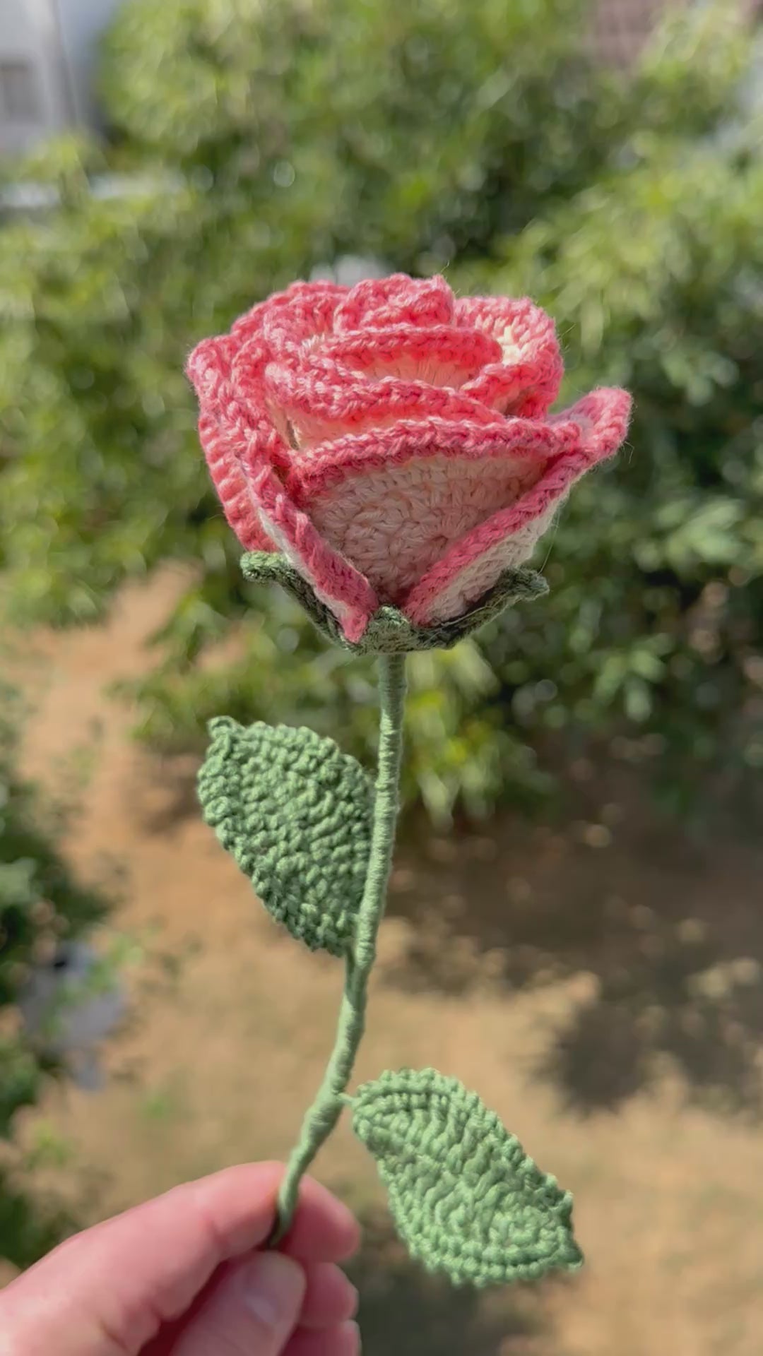 Handgehäkelte apricot Rose mit grünen Blättern, handgefertigtes botanisches Unikat von Edeltrud, langlebige Dekoration aus Baumwolle.
