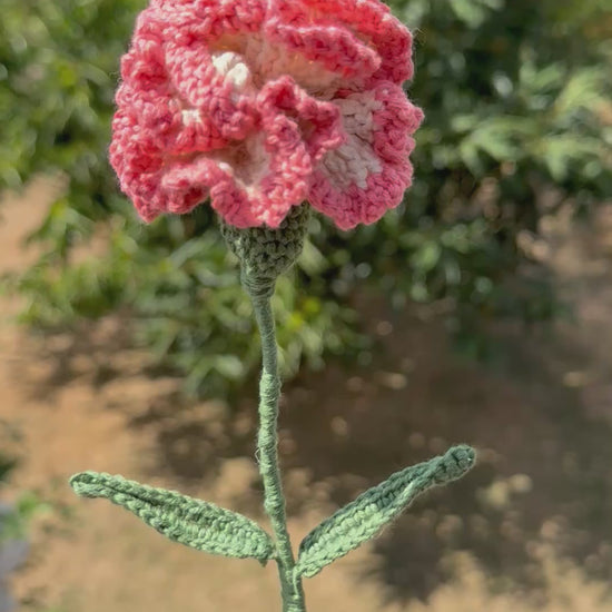 Zarte, handgehäkelte Nelke in apricot-weiß. Eine wunderschöne, haltbare Häkelblume für einen dauerhaften Blumenstrauß – jetzt bei Dein Krämerladen entdecken!