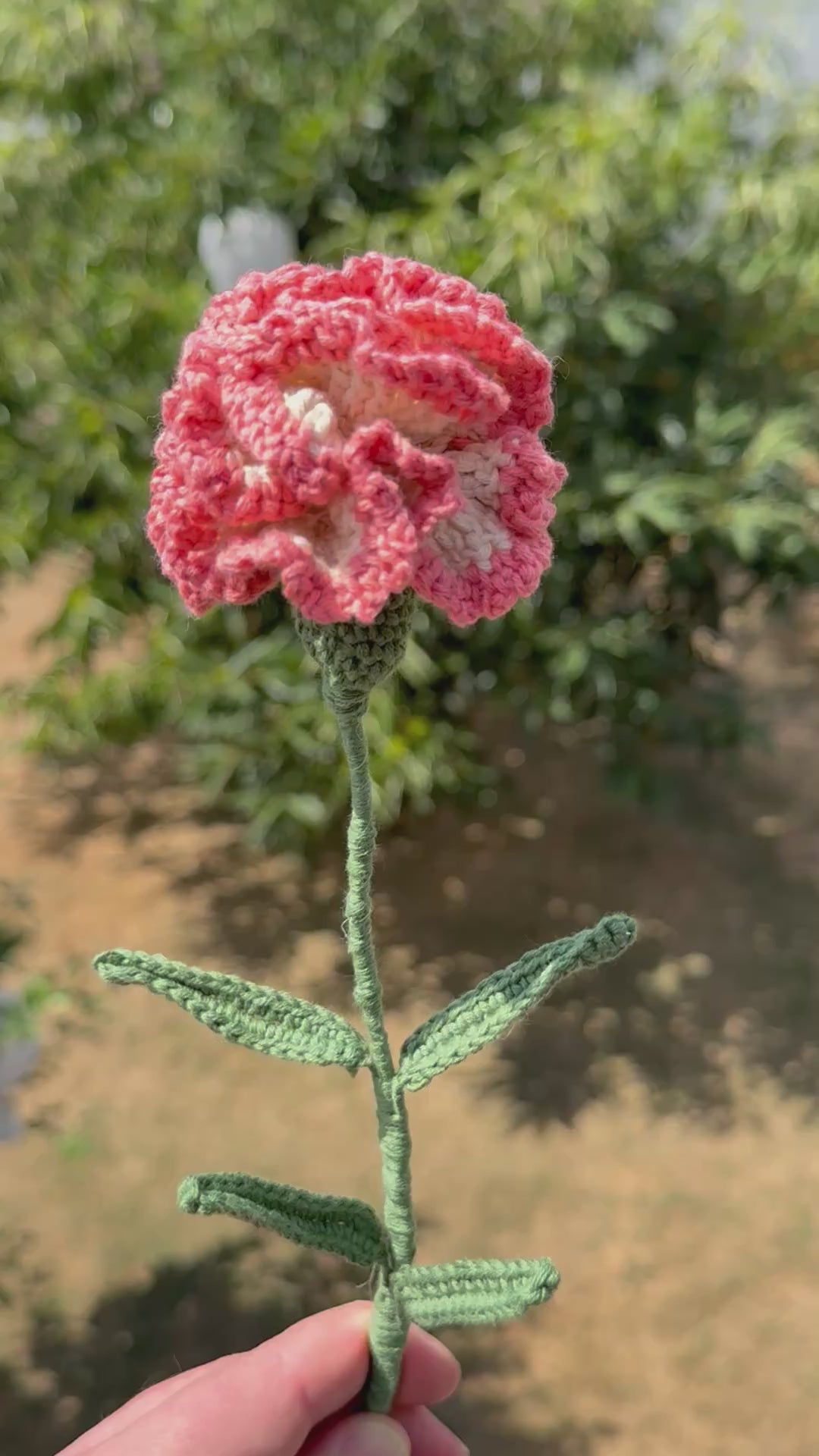 Zarte, handgehäkelte Nelke in apricot-weiß. Eine wunderschöne, haltbare Häkelblume für einen dauerhaften Blumenstrauß – jetzt bei Dein Krämerladen entdecken!